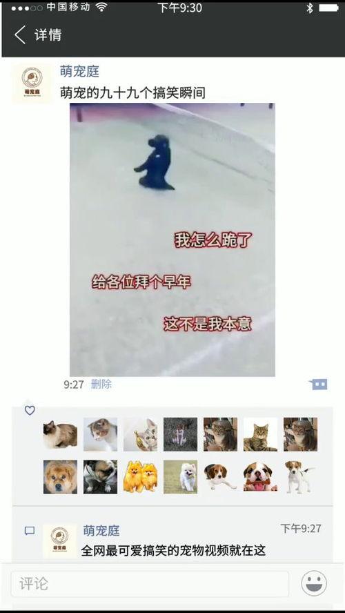 拜个早年搞笑视频,笑出腹肌的年度盛宴