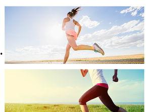 早上晨跑的图片,探寻活力四溢的晨跑时光