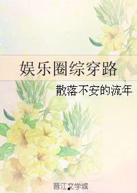 综穿娱乐,穿梭时空的娱乐传奇