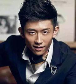 张一山 娱乐圈,娱乐圈的青春偶像与实力派演员